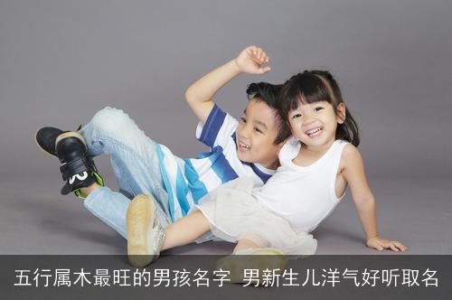 五行属木最旺的男孩名字 男新生儿洋气好听取名