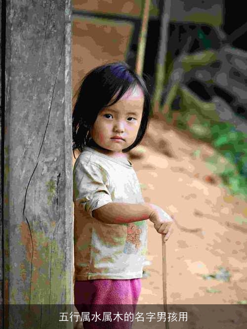 五行属水属木的名字男孩用