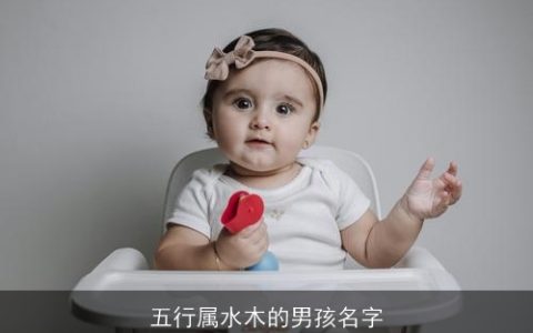 五行属水木的男孩名字