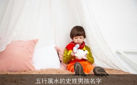五行属水的史姓男孩名字