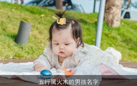 五行属火木的男孩名字