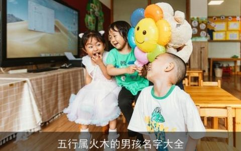 五行属火木的男孩名字大全