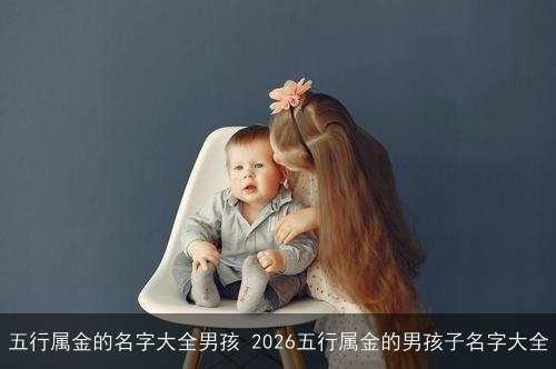 五行属金的名字大全男孩 2026五行属金的男孩子名字大全