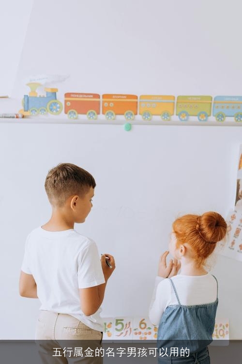 五行属金的名字男孩可以用的