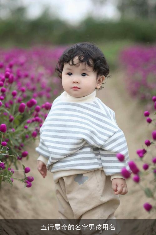 五行属金的名字男孩用名