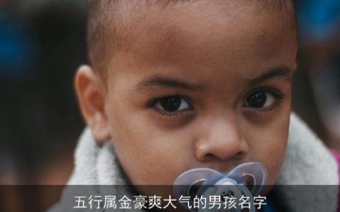 五行属金豪爽大气的男孩名字