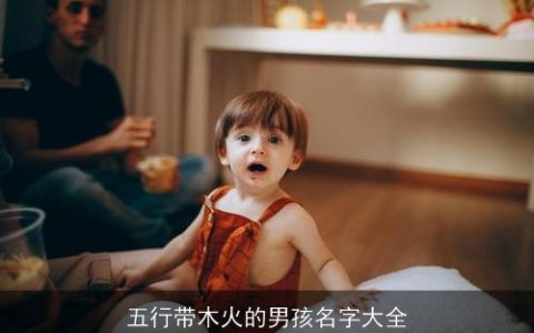 五行带木火的男孩名字大全