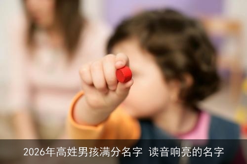 2026年高姓男孩满分名字 读音响亮的名字