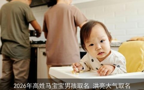 2026年高姓马宝宝男孩取名 洪亮大气取名