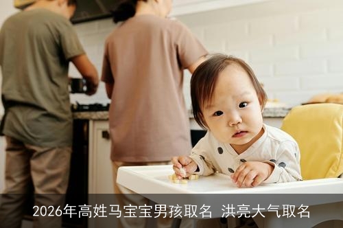 2026年高姓马宝宝男孩取名 洪亮大气取名