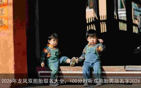 2026年龙凤双胞胎取名大全，100分好听双胞胎男孩名字2026