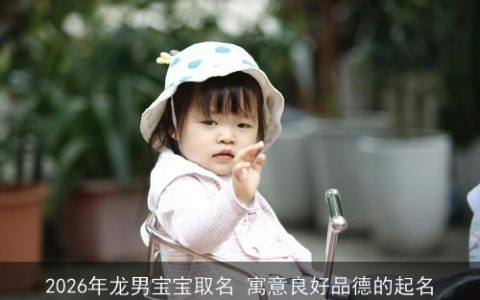 2026年龙男宝宝取名 寓意良好品德的起名