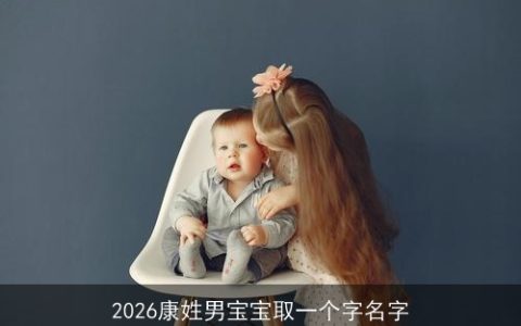 2026康姓男宝宝取一个字名字