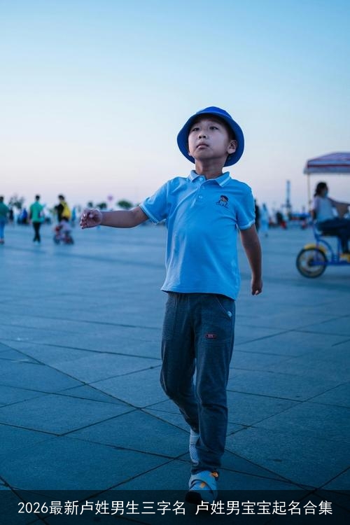 2026最新卢姓男生三字名 卢姓男宝宝起名合集