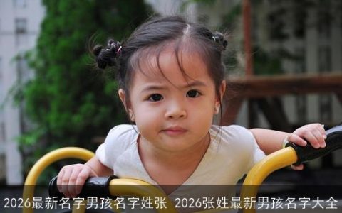 2026最新名字男孩名字姓张 2026张姓最新男孩名字大全