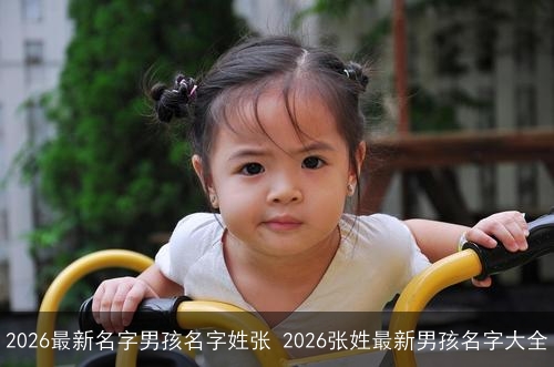 2026最新名字男孩名字姓张 2026张姓最新男孩名字大全