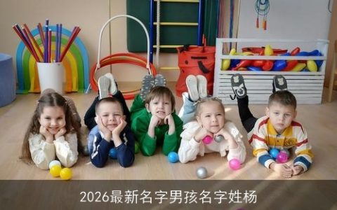 2026最新名字男孩名字姓杨