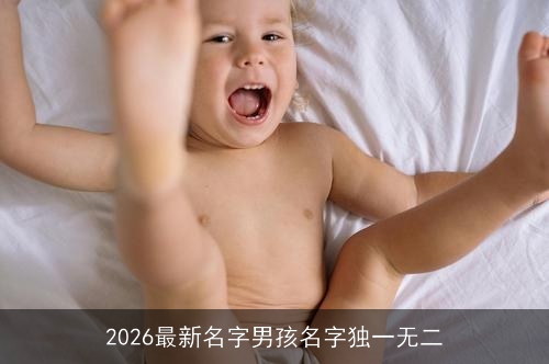 2026最新名字男孩名字独一无二