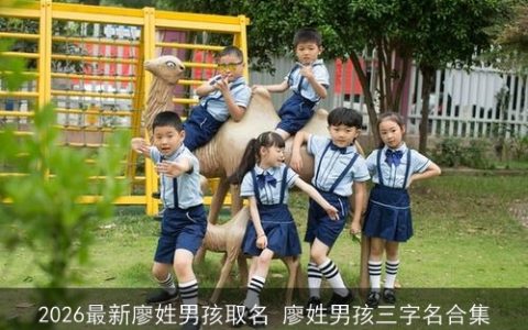 2026最新廖姓男孩取名 廖姓男孩三字名合集