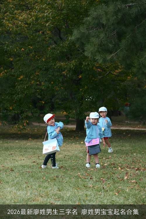 2026最新廖姓男生三字名 廖姓男宝宝起名合集