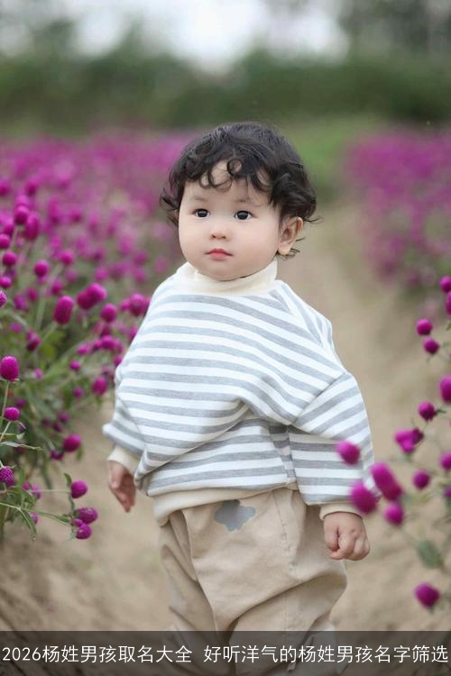 2026杨姓男孩取名大全 好听洋气的杨姓男孩名字筛选