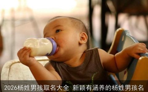 2026杨姓男孩取名大全 新颖有涵养的杨姓男孩名