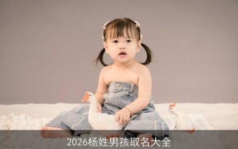 2026杨姓男孩取名大全