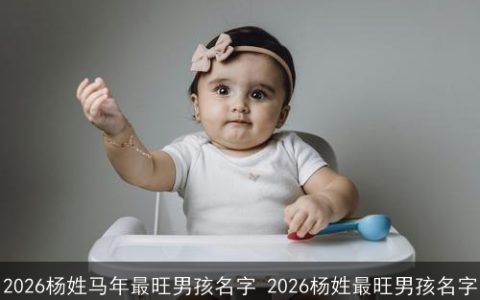 2026杨姓马年最旺男孩名字 2026杨姓最旺男孩名字