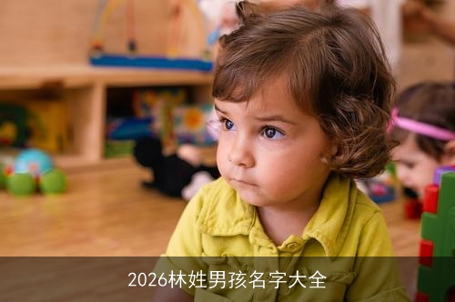 2026林姓男孩名字大全