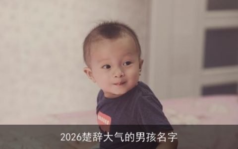 2026楚辞大气的男孩名字