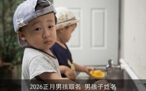 2026正月男孩取名 男孩子姓名