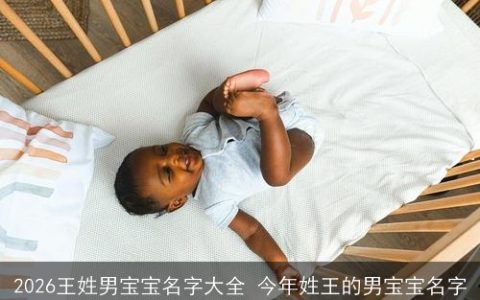 2026王姓男宝宝名字大全 今年姓王的男宝宝名字