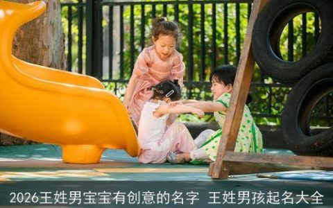 2026王姓男宝宝有创意的名字 王姓男孩起名大全