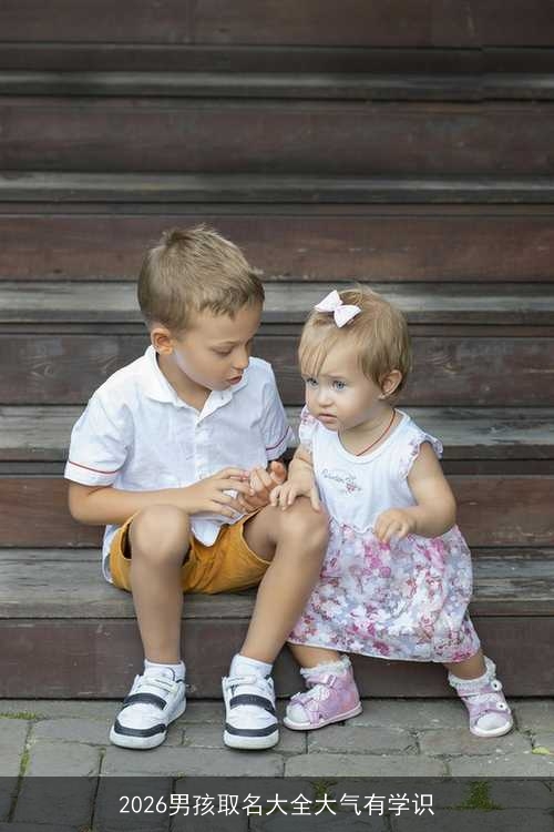 2026男孩取名大全大气有学识