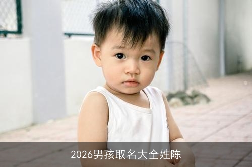 2026男孩取名大全姓陈
