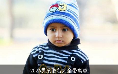 2026男孩取名大全带寓意