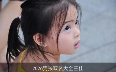 2026男孩取名大全王佳