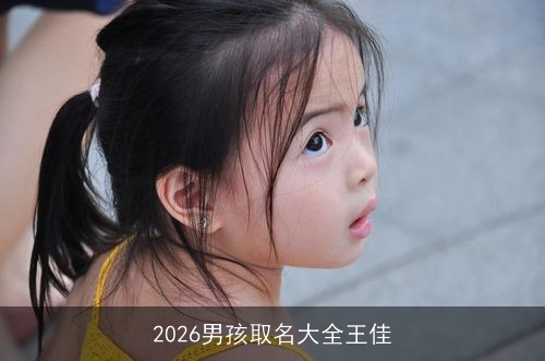 2026男孩取名大全王佳