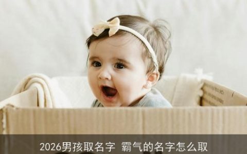 2026男孩取名字 霸气的名字怎么取
