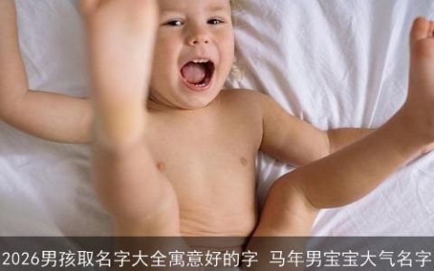 2026男孩取名字大全寓意好的字 马年男宝宝大气名字