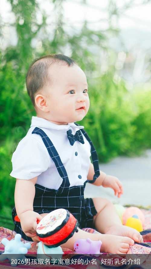 2026男孩取名字寓意好的小名 好听乳名介绍