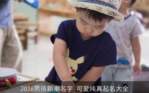 2026男孩新潮名字 可爱纯真起名大全