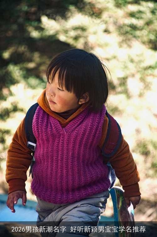 2026男孩新潮名字 好听新颖男宝宝学名推荐