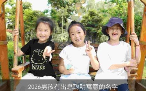 2026男孩有出息聪明寓意的名字