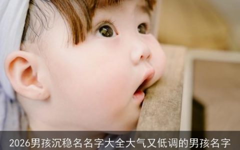 2026男孩沉稳名名字大全大气又低调的男孩名字