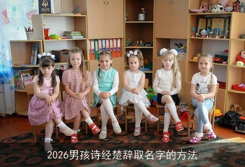 2026男孩诗经楚辞取名字的方法