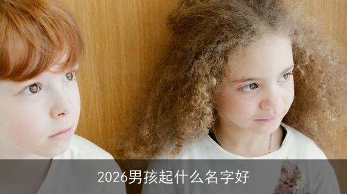 2026男孩起什么名字好