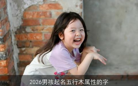 2026男孩起名五行木属性的字