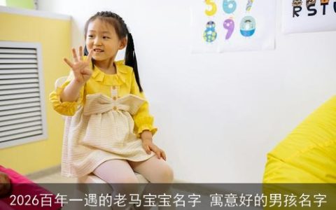 2026百年一遇的老马宝宝名字 寓意好的男孩名字