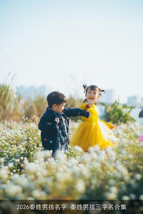 2026秦姓男孩名字 秦姓男孩三字名合集